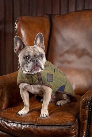 Shires Digby Fox Tweed Dog Coat