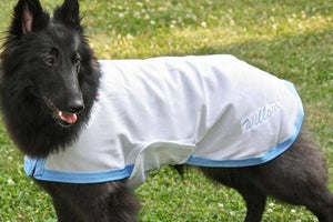 Saratoga Horseworks K9 Kool Coat 8 White/Black