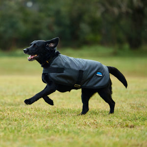 Weatherbeeta ComFiTec Classic Waterproof Dog Coat