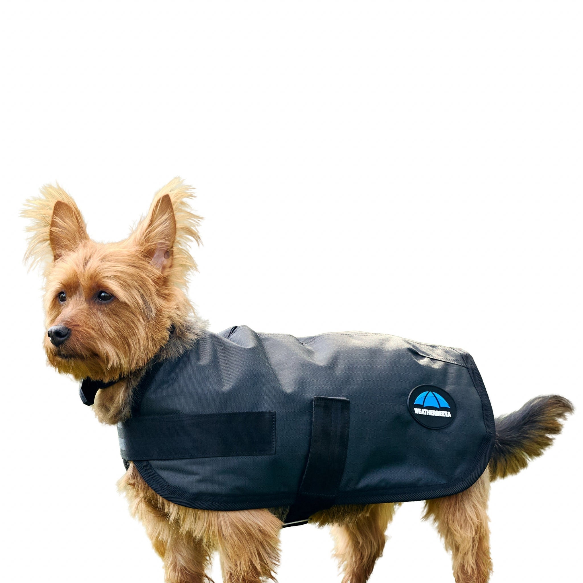 Weatherbeeta ComFiTec Classic Waterproof Dog Coat