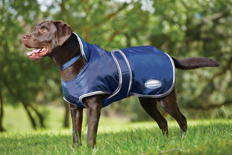 WeatherBeeta Windbreaker 420D Deluxe Dog Coat
