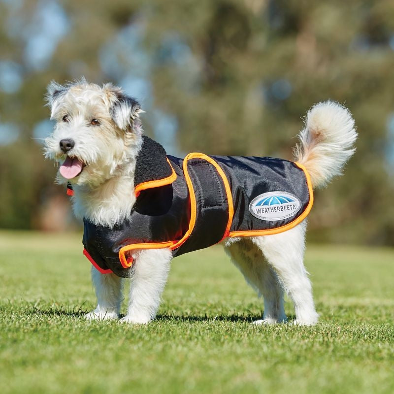 WeatherBeeta Windbreaker 420D Deluxe Dog Coat