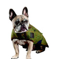Shires Digby Fox Tweed Dog Coat